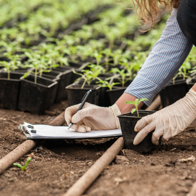 planten in kas controleren