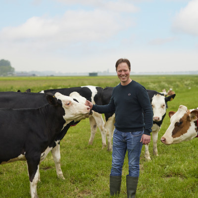 Theo Ammerlaan met koeien in de wei