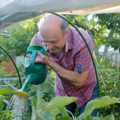 Cliënt op zorgboerderij