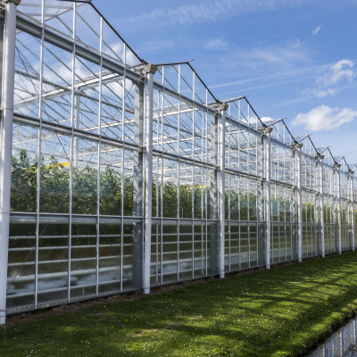 Een tuinbouwkas