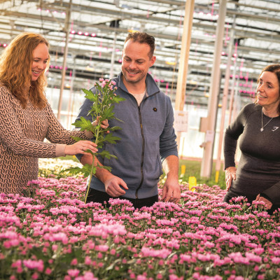 Petra van Langevelde-Bitter, Yorick Lewis en Corry Verhoeven in een tuinbouwkas