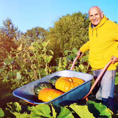 Zorgboer met kruiwagen in de handen