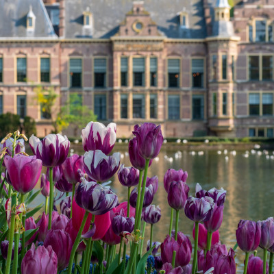 Binnenhof