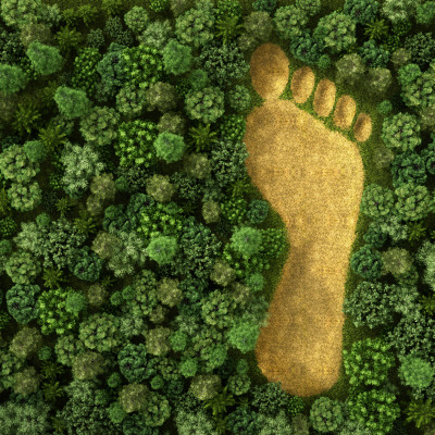 footprint