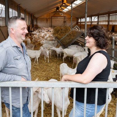 Familie Frijters in geitenstal